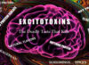 blog-excitotoxins
