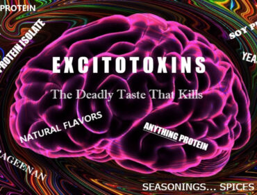 blog-excitotoxins