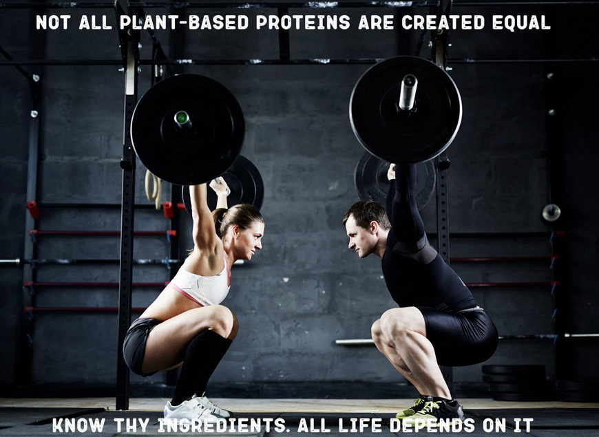 blog-not-all--proteins